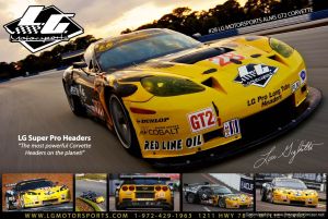 LG MOTORSPORTS ALMS GT2 POSTER