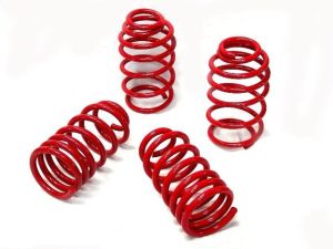 LG Motorsports G5 Camaro Lowering Springs